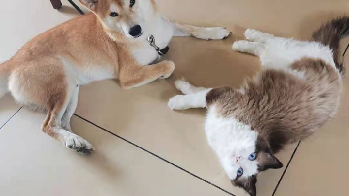 www