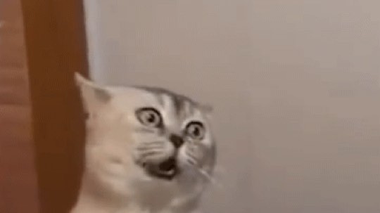 上分