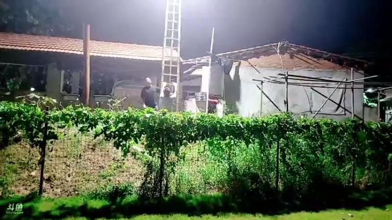 【2021-08-08 19点场】洪湖小肖：基地完善过程中