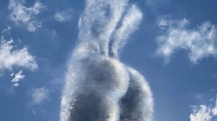 ，