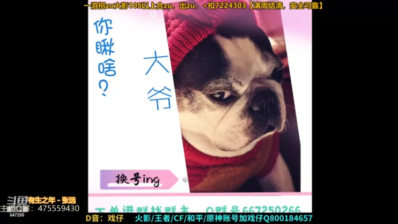 【2021-08-07 22点场】小马锅马杰：马锅：愿你历经时间，任是少年。