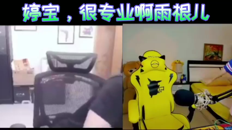 婷宝，很专业啊雨根儿