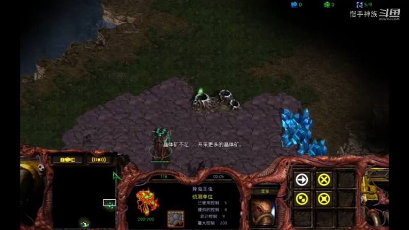 2v2群殴局玩虫族2021-08-08