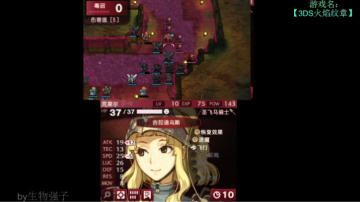 生物强子：3ds火焰纹章之回声9