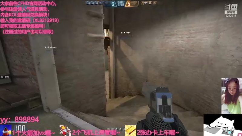 【2021-08-06 20点场】一只小小流浪猫：小菜鸟出没，请注意！！！