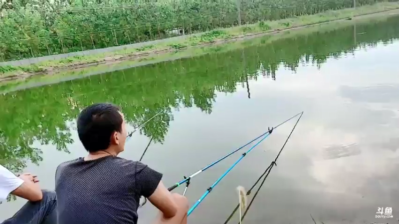 【2021-08-08 17点场】洪湖小肖：基地完善过程中