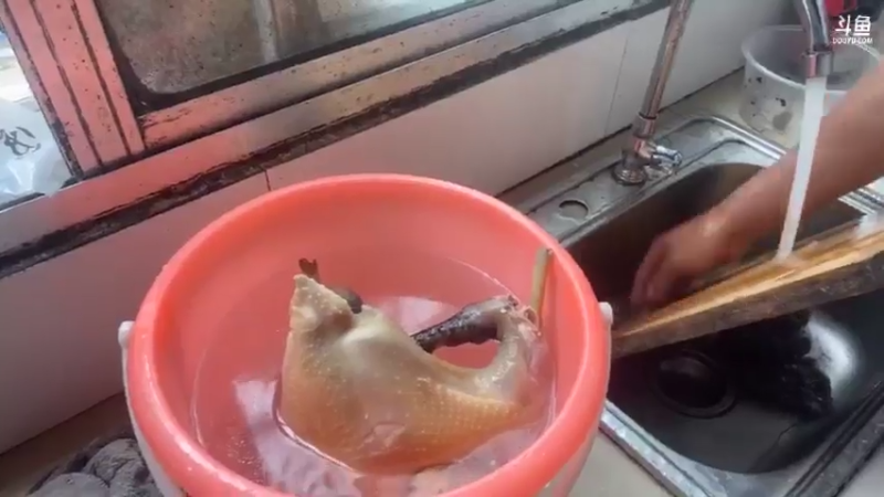 【2021-08-09 14点场】魅力生活i：来个白切鸡