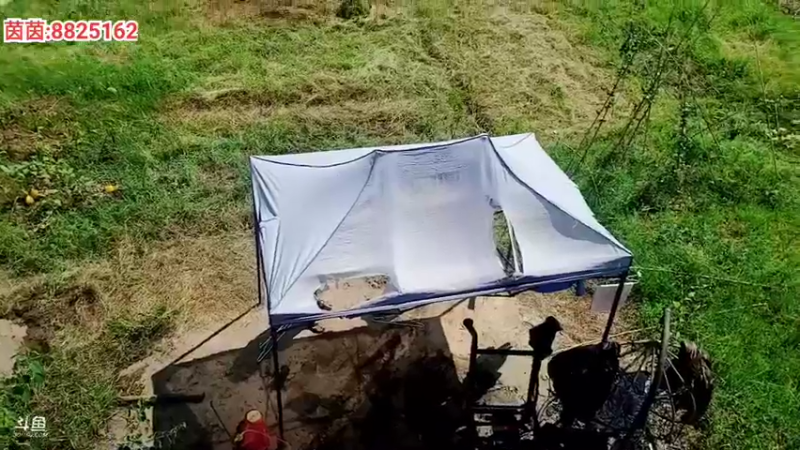 【2021-08-09 15点场】川味箩卜：基地整改中