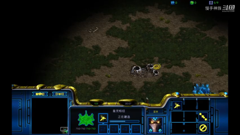 pvz赌命罗双2021-08-09