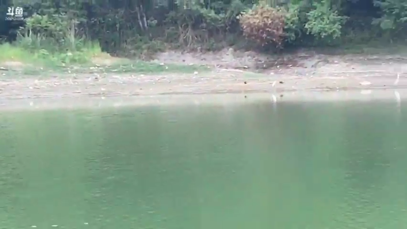 【2021-08-09 11点场】魅力生活i：水库捡点螺丝小河蚌