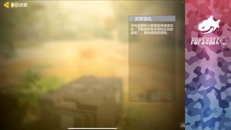 【2021-08-09 15点场】皮皮鲨FPS：馒头：西北玄天一片云，天天练狙我看行