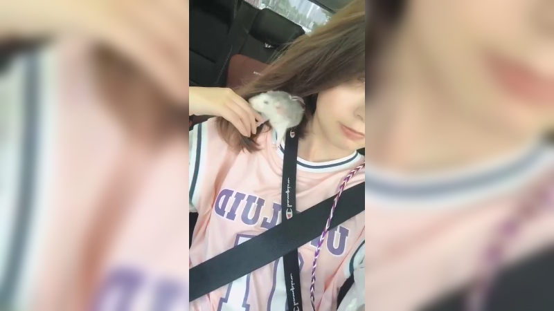 带小老鼠出去玩