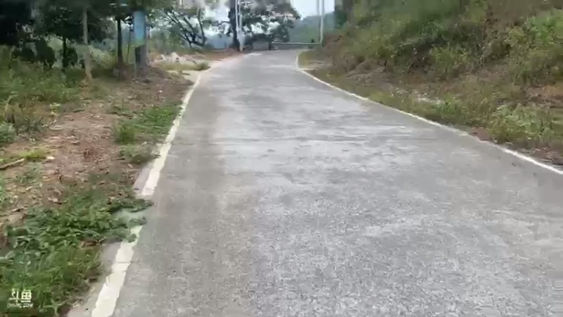 【2021-08-09 11点场】魅力生活i：水库捡点螺丝小河蚌