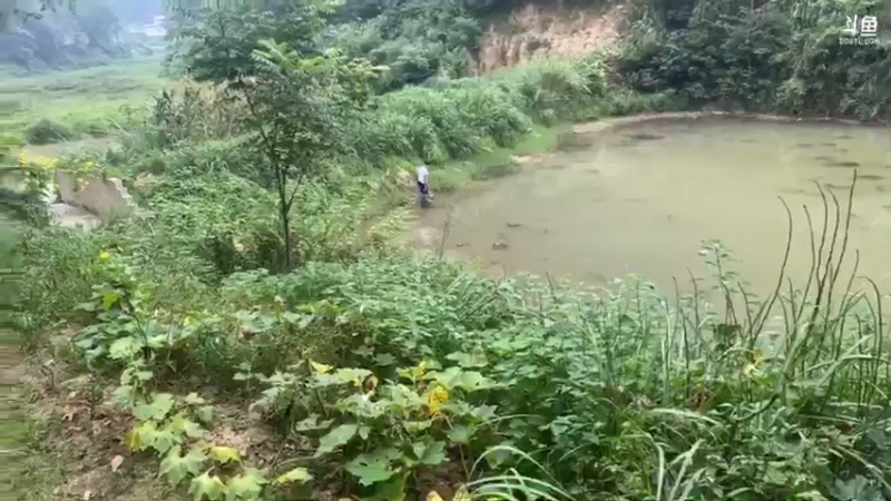 【2021-08-09 11点场】魅力生活i：水库捡点螺丝小河蚌