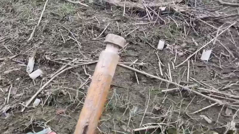 【2021-08-09 12点场】魅力生活i：来个白切鸡