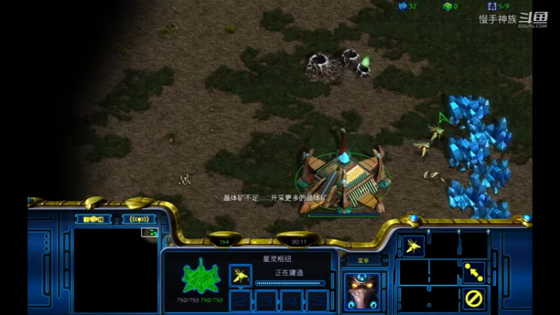 斗魂pvz打的虫出不了门2021-08-09 17-27-30