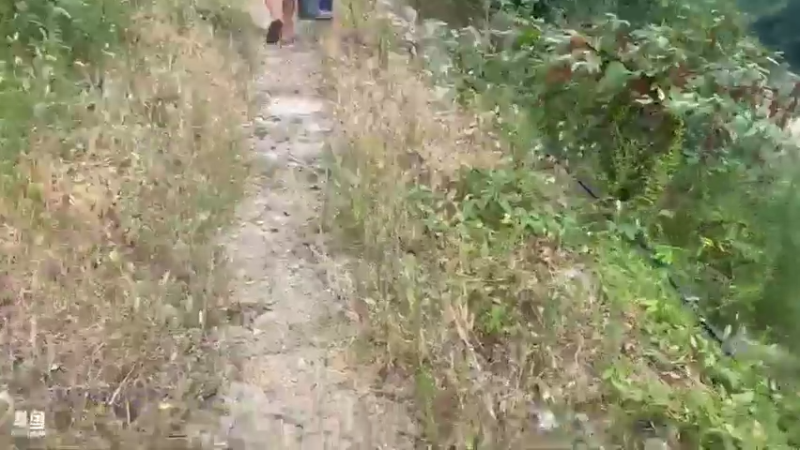 【2021-08-09 11点场】魅力生活i：水库捡点螺丝小河蚌