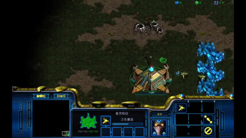 斗魂pvz单bg开局2021-08-09