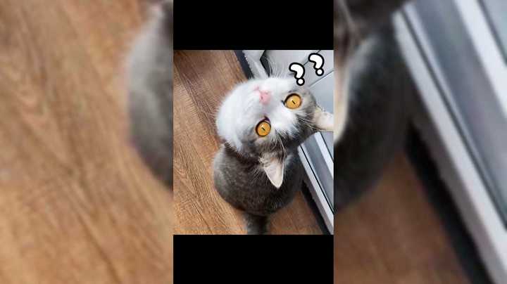 蓝宝真的是越来越肥了