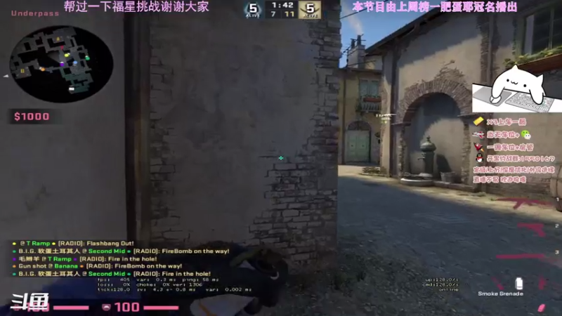 【2021-08-08 23点场】AmaZarashi卷毛的CSGO频道：58岁带两娃，打CSGO维持生活