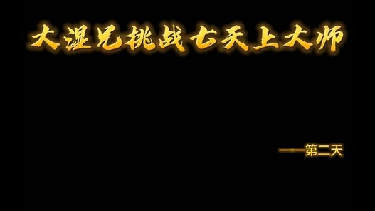 大湿兄挑战七天上大师2
