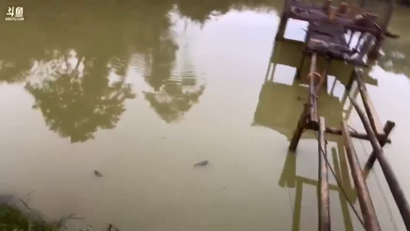 【2021-08-10 18点场】魅力生活i：凉亭美食 羊肉螺丝。