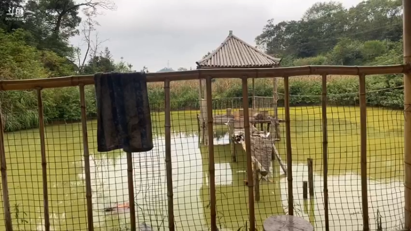 【2021-08-10 12点场】魅力生活i：今天整理凉亭