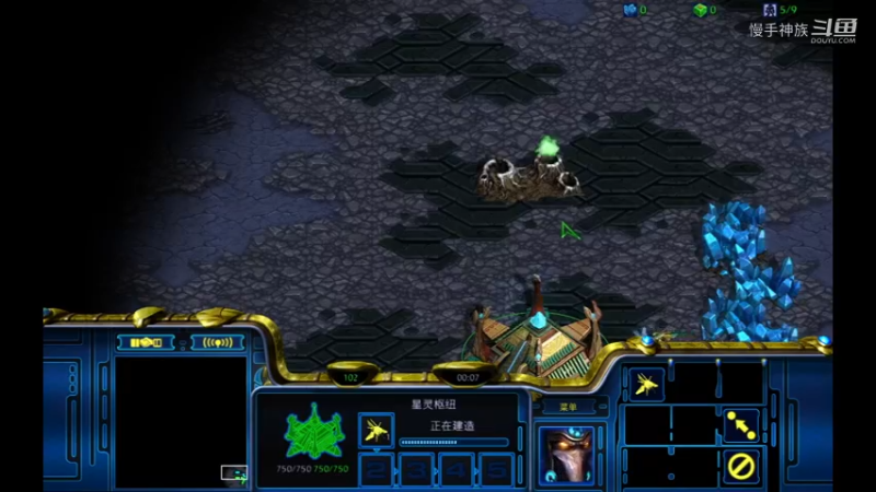 pvz天梯 做大龙的虫族2021-08-10 15-41-15