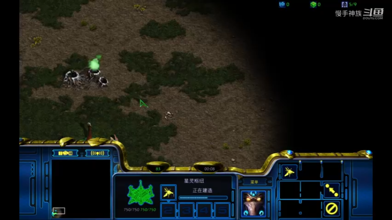 pvp对手甲虫坠机2021-08-10