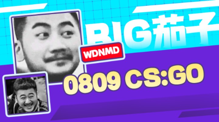 茄子：CS GO，二打一可还行