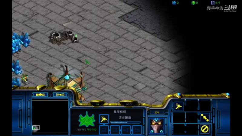 天梯pvt慢手的节奏2021-08-10 14-26-06