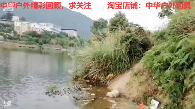 【2021-08-10 13点场】中华户外钓鱼：开播聊聊呗