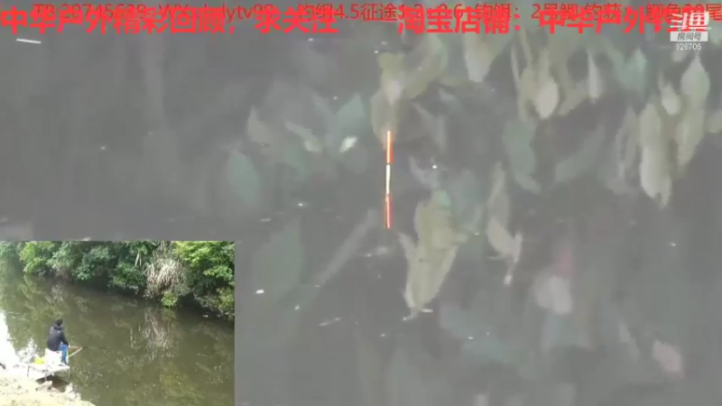 【2021-08-10 19点场】中华户外钓鱼：开播聊聊呗