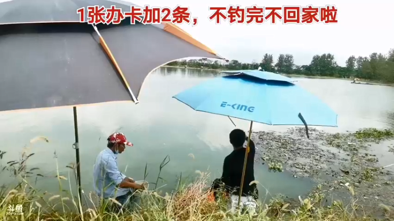 【2021-08-11 14点场】中华户外钓鱼：斧头湖休闲野钓




66666666
