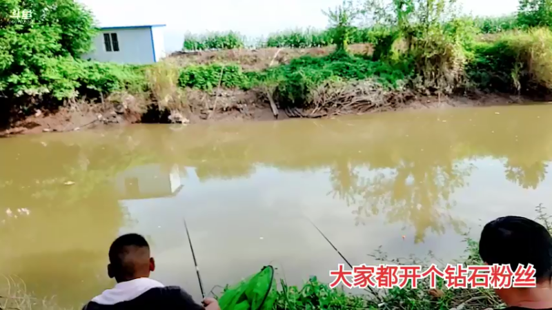 【2021-08-11 16点场】洪湖小肖：绝世高手在线喂鱼