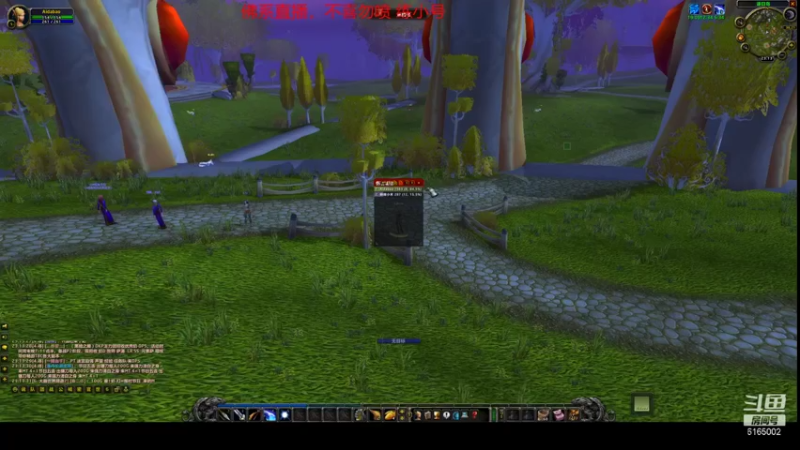 【2021-08-04 23点场】挂猪头卖你肉：水萨打副本---魔兽世界TBC