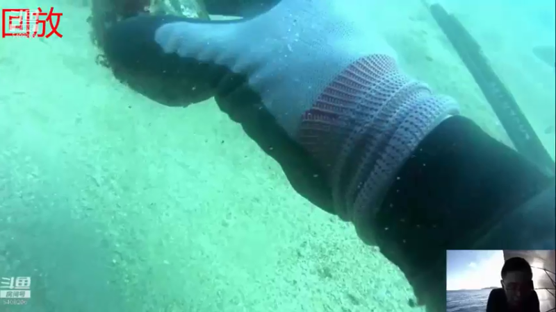 【2021-08-11 08点场】海道丶：检修装备 筹备中
