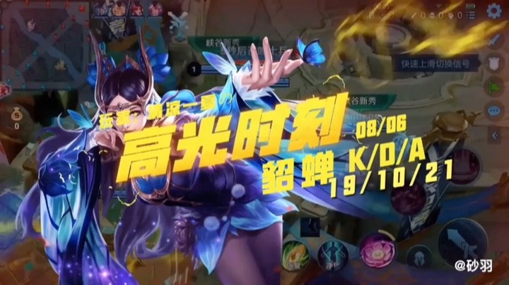 一只小小秀儿