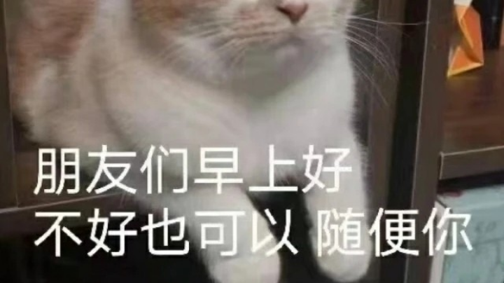 游戏日常