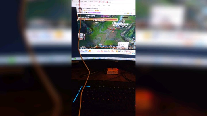 你们第一次看鹌鹑是什么时候？