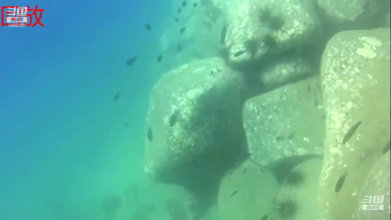 【2021-08-11 12点场】海道丶：检修装备 筹备中