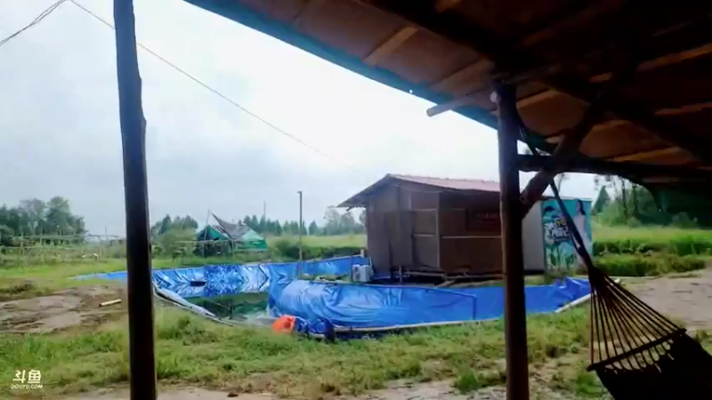 【2021-08-11 10点场】川味箩卜：听说有钻粉了
