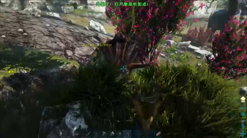 【2021-08-10 17点场】老丶百事：百事 欢乐STM与爆肝MC