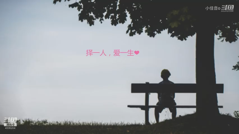 择一人，爱一生