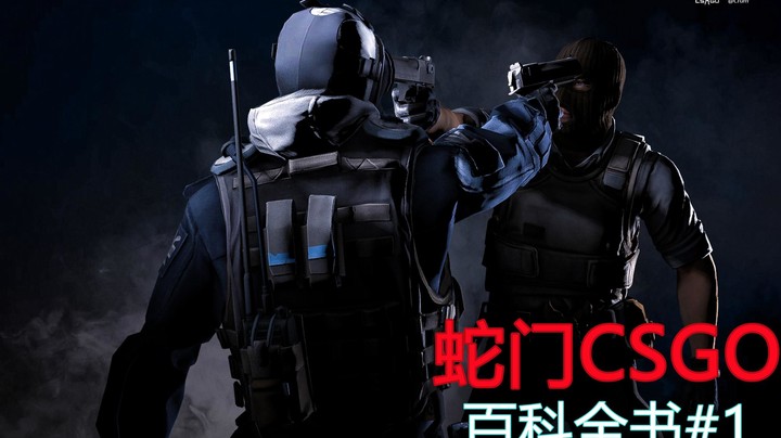【蛇门csgo百科全书】前言与第一章节