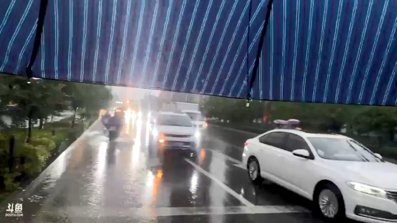 【2021-08-10 17点场】驴酱的冯雨大王：冯雨大王：新人主播，求个关注～