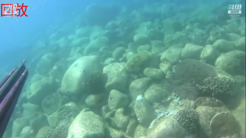 【2021-08-11 02点场】海道丶：检修装备 筹备中