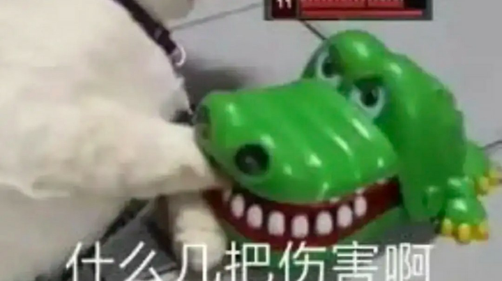 打不过