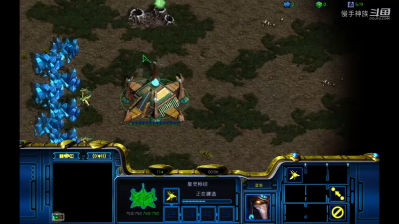 pvt大招伺候2021-08-11