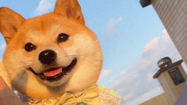 菜